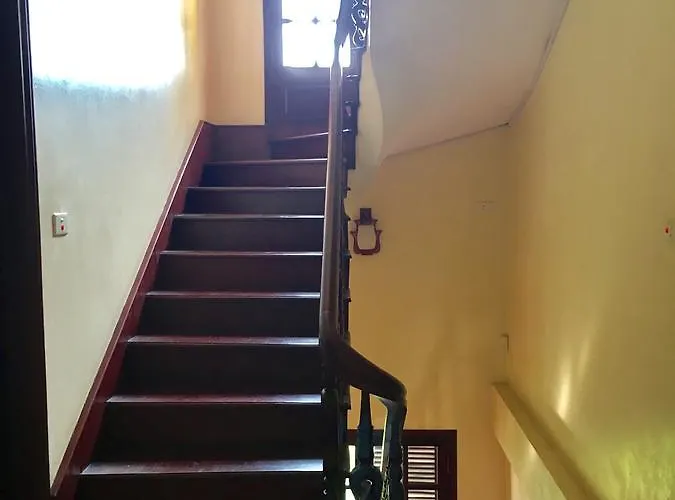 Hiliho's House